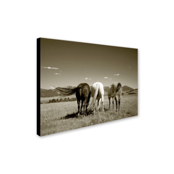 Preston 'Three Horses' Canvas Art,14x19